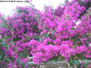 Côte Amalfitaine - Naples