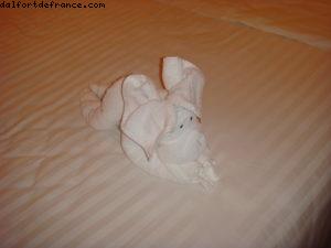 Notre 22eme croisière Atlantis (à bord du Navigator of the Seas)