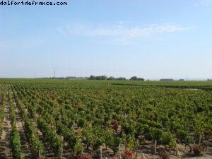 Pauillac