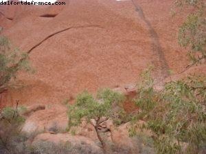Uluru (Ayers Rock) 