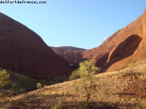 Kata Tjuta (Olgas) 