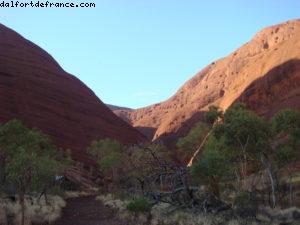 Kata Tjuta (Olgas) 