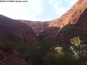 Kata Tjuta (Olgas) 