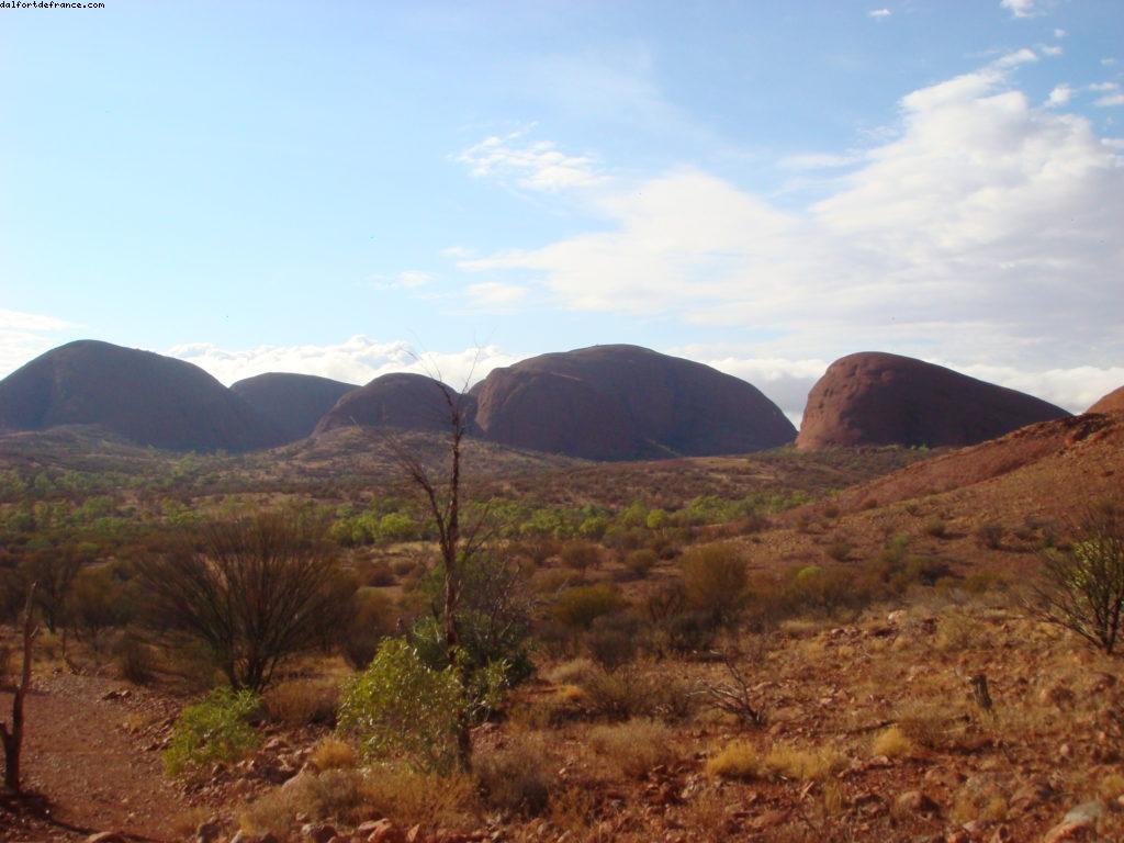 Kata Tjuta (Olgas) 