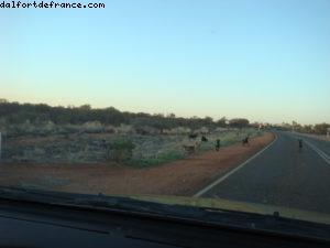 Uluru (Ayers Rock) 