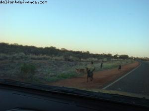 Uluru (Ayers Rock) 