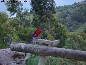 Beacon Point Ocean View Villas - Great Ocean Road