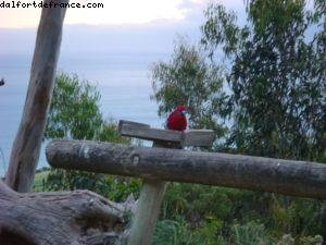 Beacon Point Ocean View Villas - Great Ocean Road