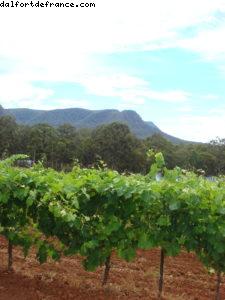 Tyrrell's Wine - Hunter Valley