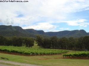 Tyrrell's Wine - Hunter Valley