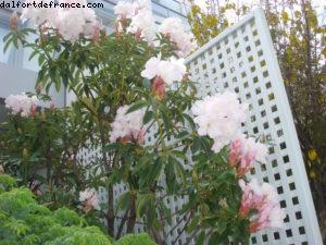 Hôtel Crown Plazza - Queenstown