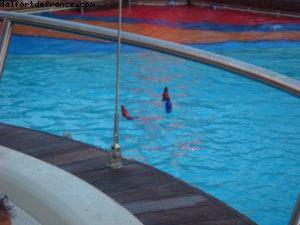 Dog Tag Tea Dance (Militaire) - Notre 24eme croisière Atlantis (à bord du Freedom of the Seas)