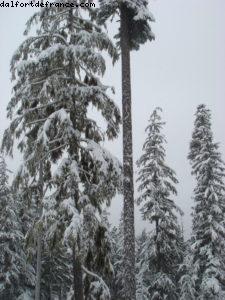La Semaine de Ski Gay - Whistler