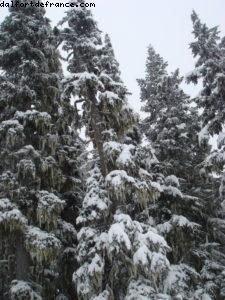 La Semaine de Ski Gay - Whistler