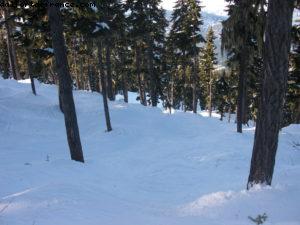 La Semaine de Ski Gay - Whistler