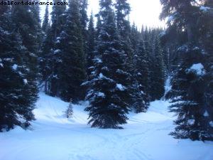 La Semaine de Ski Gay - Whistler