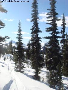 La Semaine de Ski Gay - Whistler