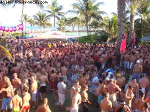 Pool Party - Winter Party - Doubletree Surfcomber Hôtel - Miami Beach