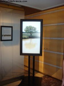 Notre 25eme croisière Atlantis (à bord du Celebrity Solstice)