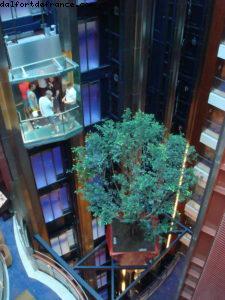 Notre 25eme croisière Atlantis (à bord du Celebrity Solstice)