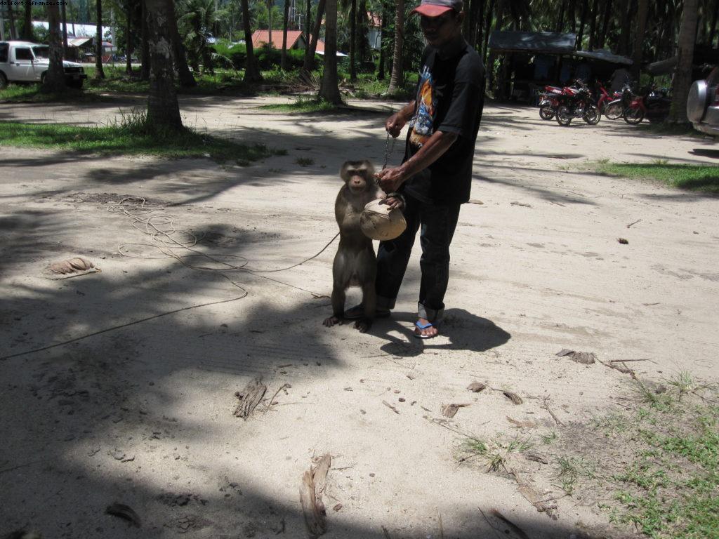 Koh Samui - Notre 26eme croisière Atlantis (à bord de l'Azamara Quest)