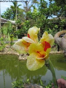 Hoi an - Notre 26eme croisière Atlantis (à bord de l'Azamara Quest)