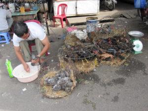 Nah Trang - Notre 26eme croisière Atlantis (à bord de l'Azamara Quest)