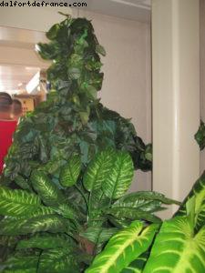 New outfit for malcom - Notre 26eme croisière Atlantis (à bord de l'Azamara Quest)