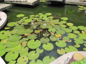 Ho Chi Minh ville (Saigon) - Notre 26eme croisière Atlantis (à bord de l'Azamara Quest)
