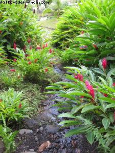 Tahiti - Notre 33eme croisière Atlantis (à bord du Paul Gauguin)
