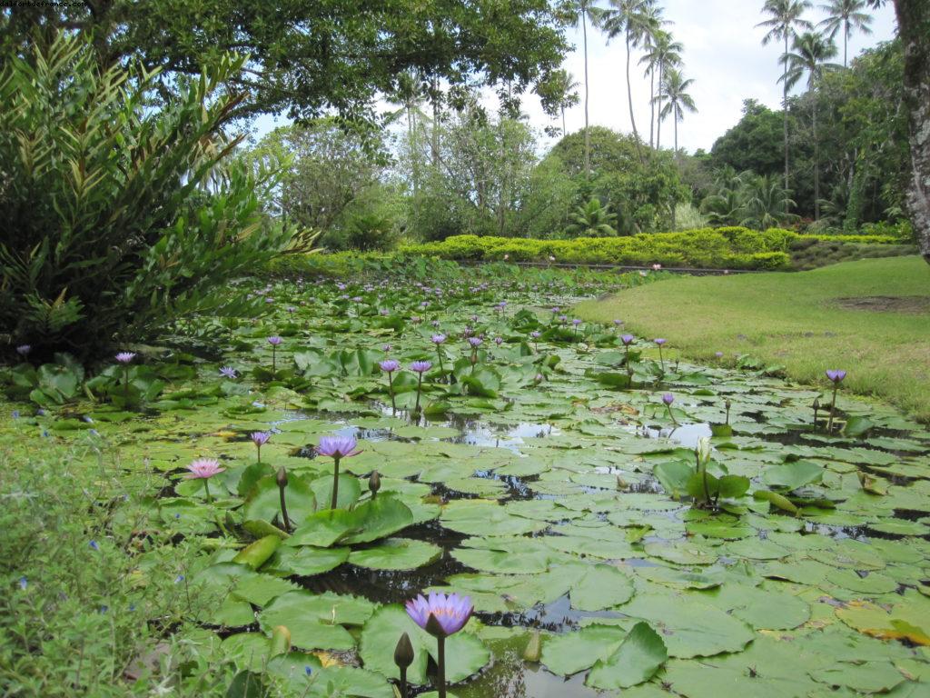 Tahiti - Notre 33eme croisière Atlantis (à bord du Paul Gauguin)