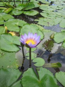 Tahiti - Notre 33eme croisière Atlantis (à bord du Paul Gauguin)