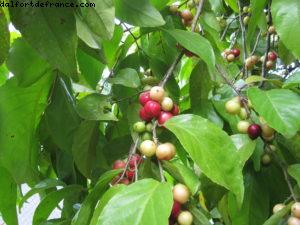 Tahiti - Notre 33eme croisière Atlantis (à bord du Paul Gauguin)