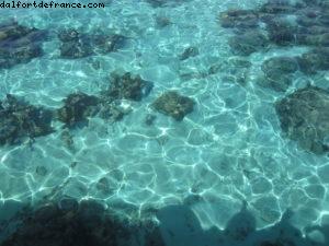 Hôtel Le Méridien - Papeete Notre 33eme croisière Atlantis (à bord du Paul Gauguin)