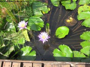 Hôtel Le Méridien - Papeete Notre 33eme croisière Atlantis (à bord du Paul Gauguin)