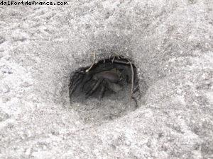 Taha'a - Motu Moana - Tahiti - Notre 33eme croisière Atlantis (à bord du Paul Gauguin)