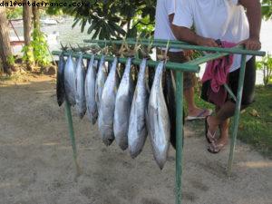 Tour de Bora Bora en vélo - Tahiti - Notre 33eme croisière Atlantis (à bord du Paul Gauguin)