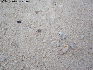 Motu Bora Bora - Tahiti - Notre 33eme croisière Atlantis (à bord du Paul Gauguin)