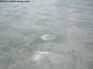 Motu Bora Bora - Tahiti - Notre 33eme croisière Atlantis (à bord du Paul Gauguin)