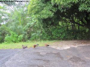 Moorea Tahiti - Notre 33eme croisière Atlantis (à bord du Paul Gauguin)