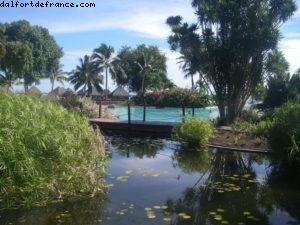 Hôtel Le Méridien - Papeete Notre 33eme croisière Atlantis (à bord du Paul Gauguin)