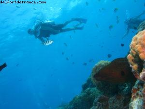 Scuba diving in Bora Bora