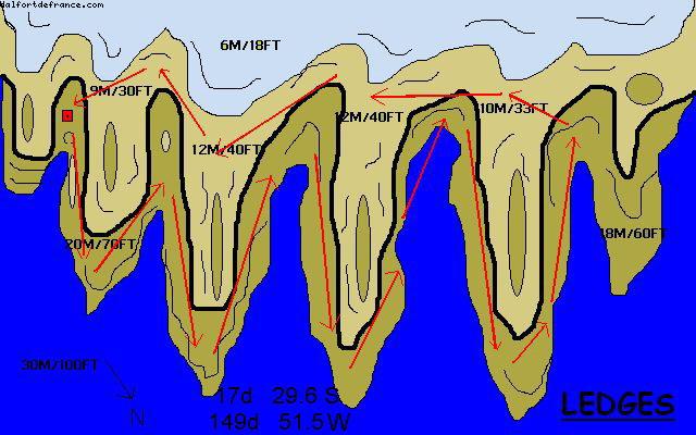 diving surrounded by sharks in Moorea