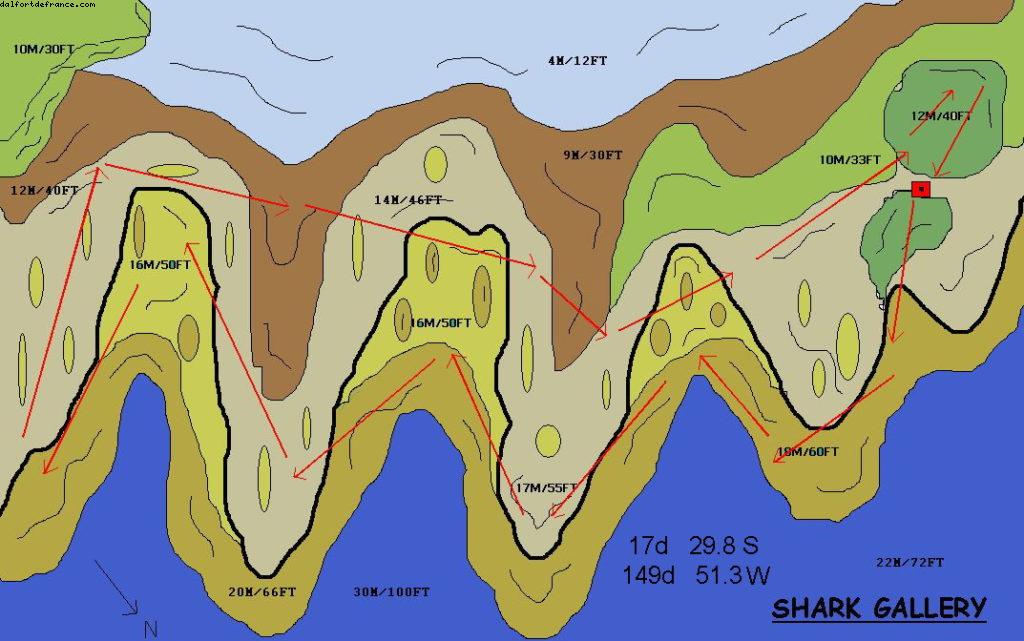  diving surrounded by sharks in Moorea