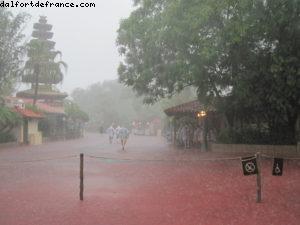 Magic Kingdom - Orlando