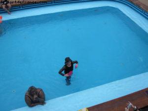 The first ever 100% gay French cruise (Bleu de France)