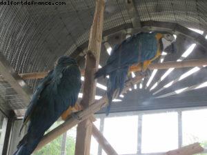 Peterhof - St Petersbourg - Notre 28eme croisière Atlantis (à bord de l'Eurodam)