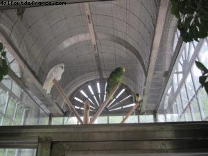 Peterhof - St Petersbourg - Notre 28eme croisière Atlantis (à bord de l'Eurodam)