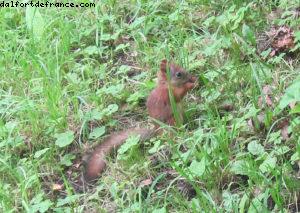 Peterhof - St Petersbourg - Notre 28eme croisière Atlantis (à bord de l'Eurodam)