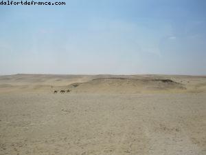 Pyramides de Gizeh - Le Caire - Notre 28eme croisière Atlantis (à bord de l'Eurodam)